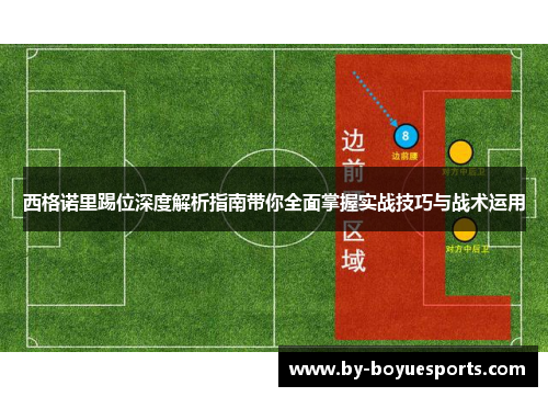 西格诺里踢位深度解析指南带你全面掌握实战技巧与战术运用