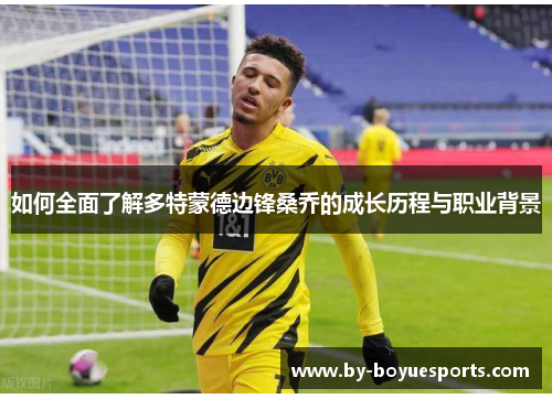 如何全面了解多特蒙德边锋桑乔的成长历程与职业背景 如何全面了解多特蒙德边锋桑乔的成长历程与职业背景