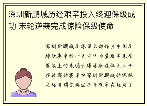 深圳新鹏城历经艰辛投入终迎保级成功 末轮逆袭完成惊险保级使命