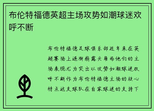 布伦特福德英超主场攻势如潮球迷欢呼不断 布伦特福德英超主场攻势如潮球迷欢呼不断