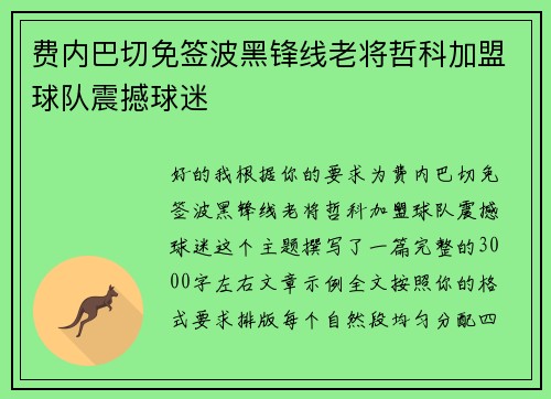 费内巴切免签波黑锋线老将哲科加盟球队震撼球迷 费内巴切免签波黑锋线老将哲科加盟球队震撼球迷